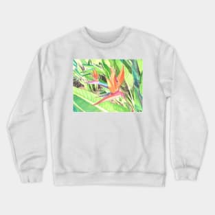 Pride of Barbados Crewneck Sweatshirt